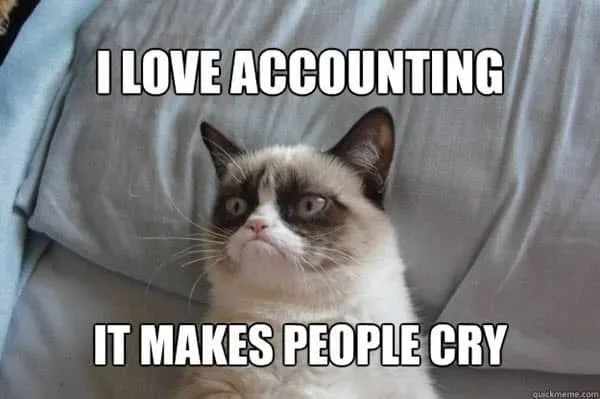 I love accounting memes